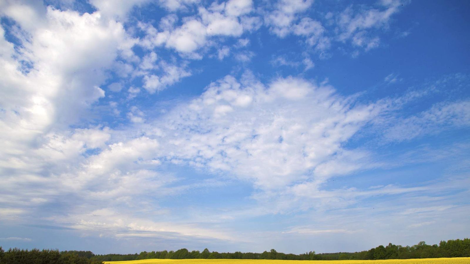 long-range-weather-scoop-news-sky-news