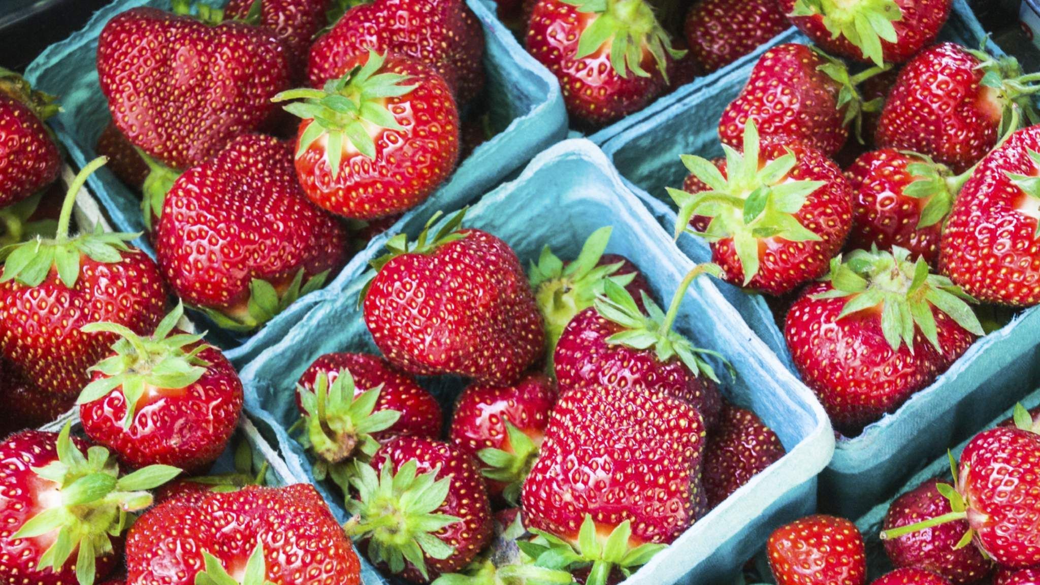 Silk Coating Can Keep Fruit Fresh For A Week Science & Tech News