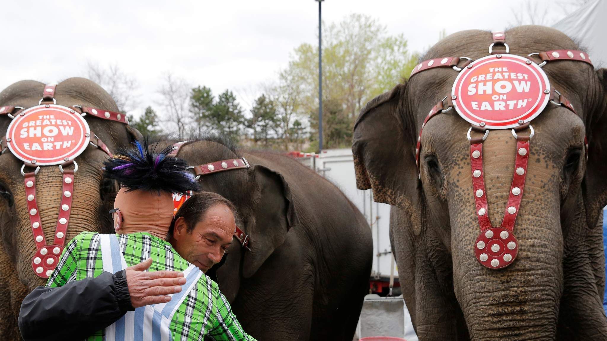 US Circus Holds Final Performing Elephant Show | US News | Sky News