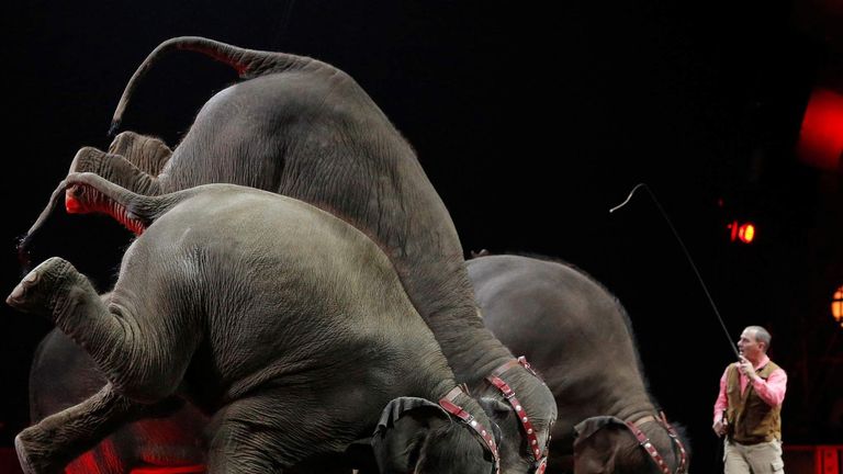 US Circus Holds Final Performing Elephant Show | US News | Sky News