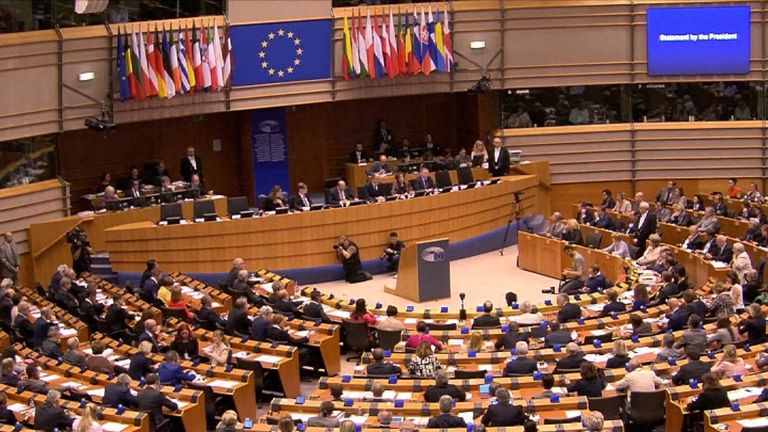 EU referendum European Parliament meeting
