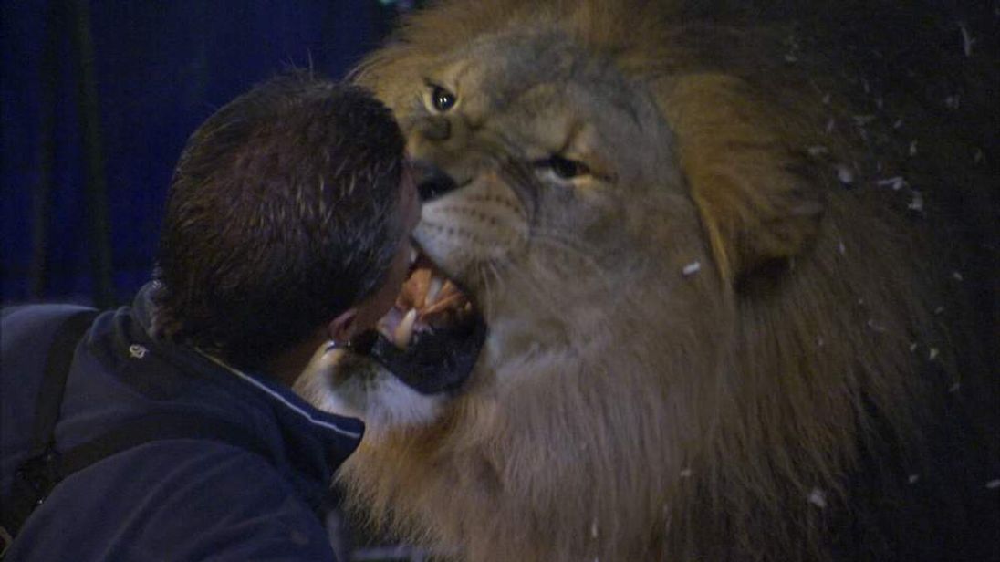 Britain's last lion tamer 'more determined than ever' despite rejection