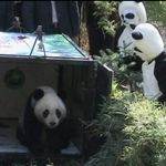 cegrab-20131107-095437-139-