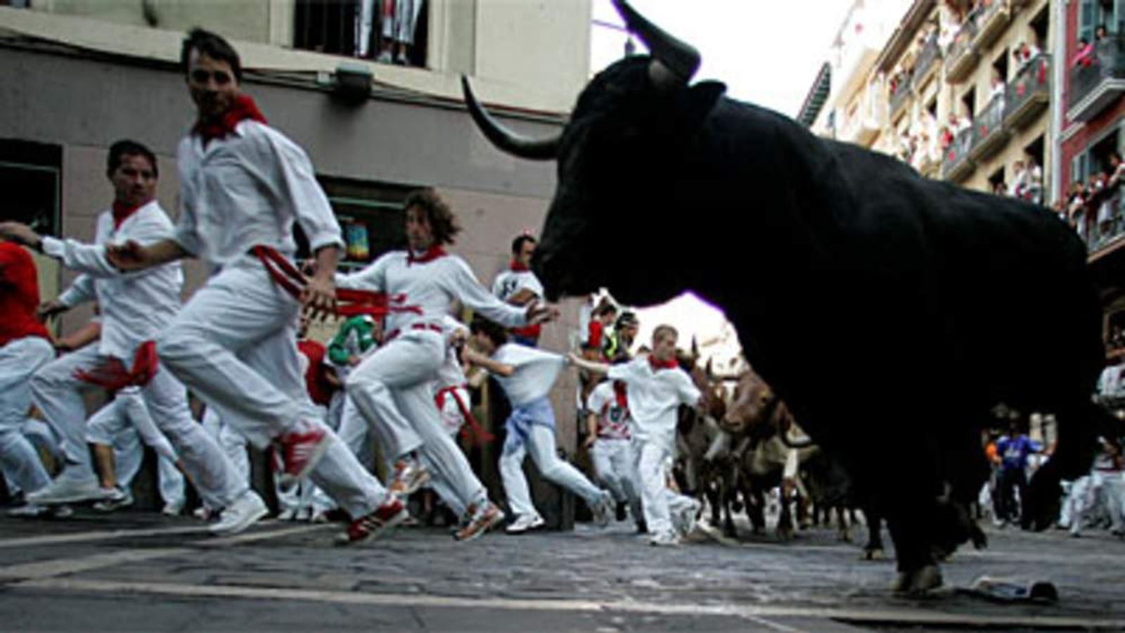 Styling bull. Styling bull