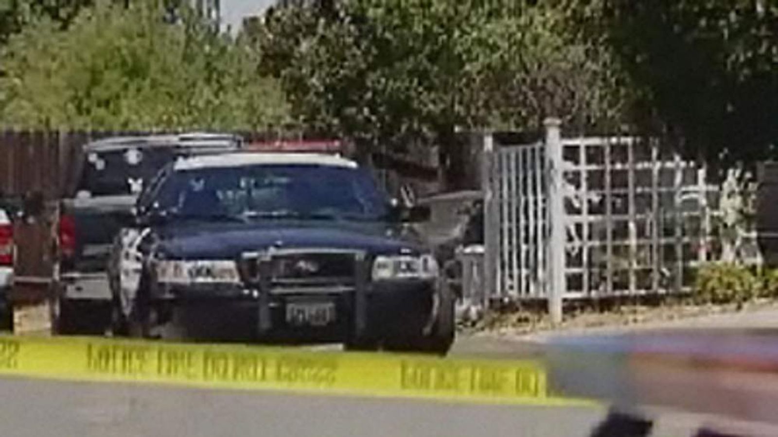 Toddler Mauled To Death By Five Pit Bulls | World News | Sky News