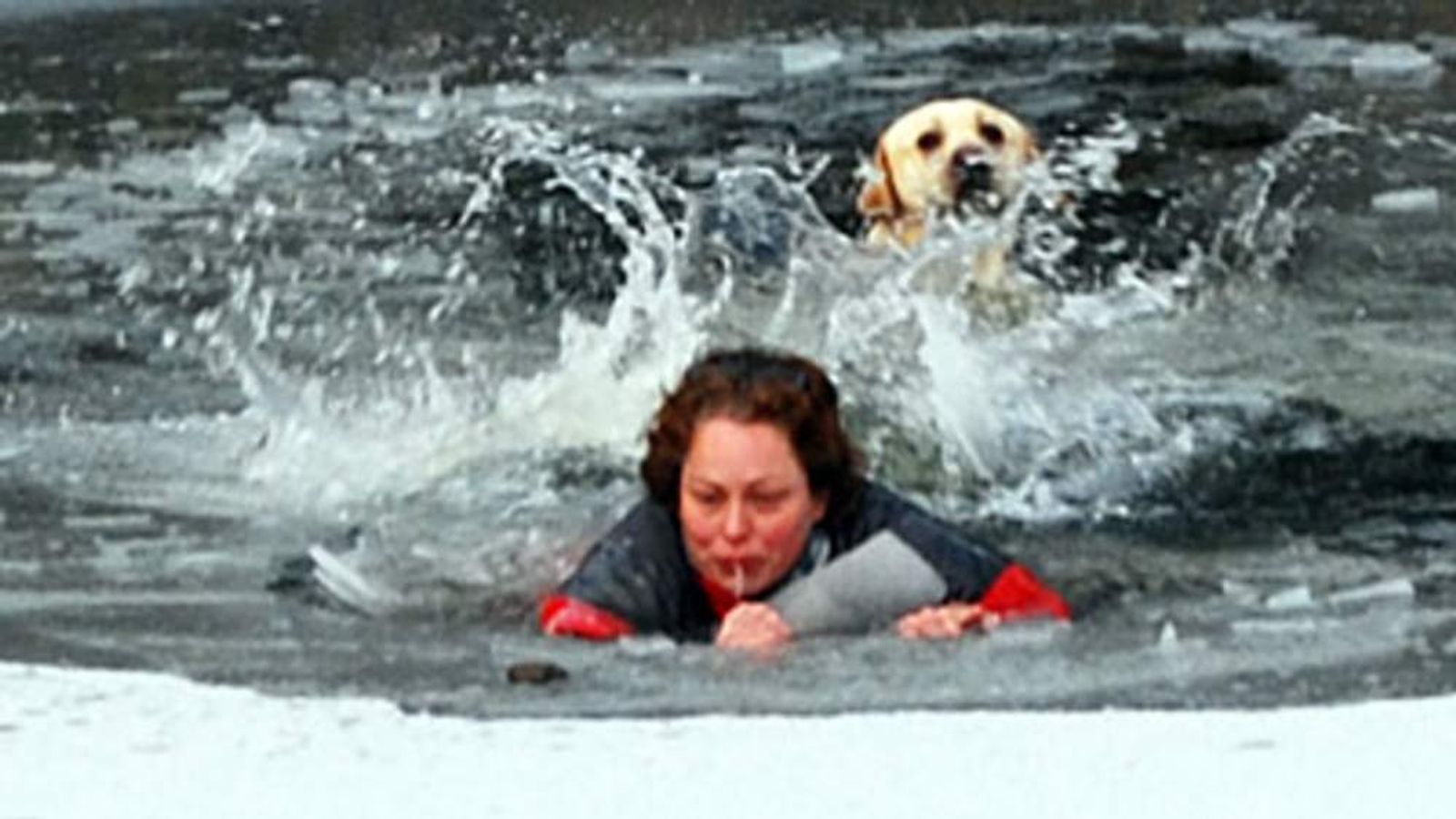 Dog Owner Risks Life On Ice To Save Labrador | UK News | Sky News