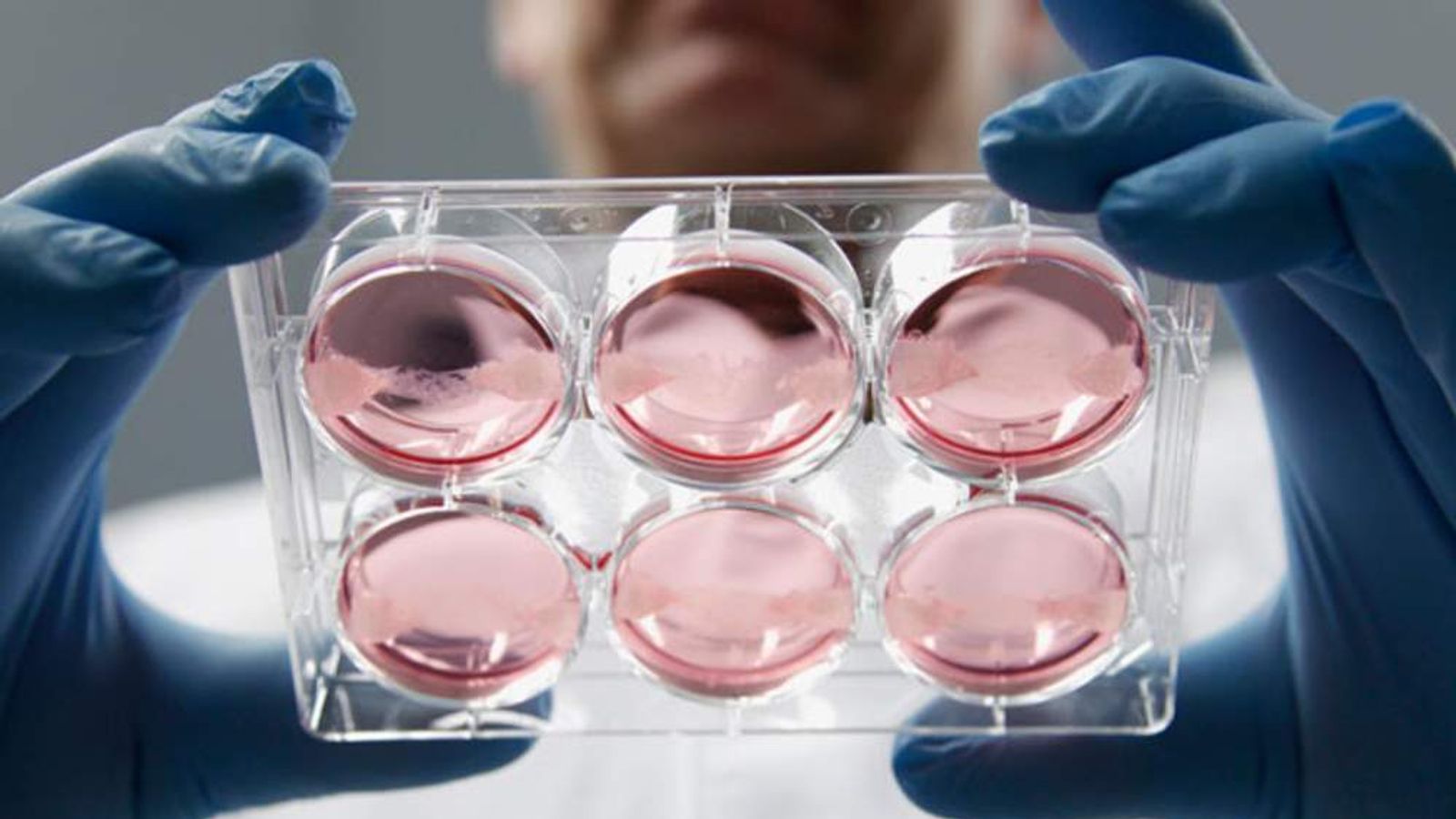 Dutch Scientist Plans £200k Lab Burger | Scoop News | Sky News