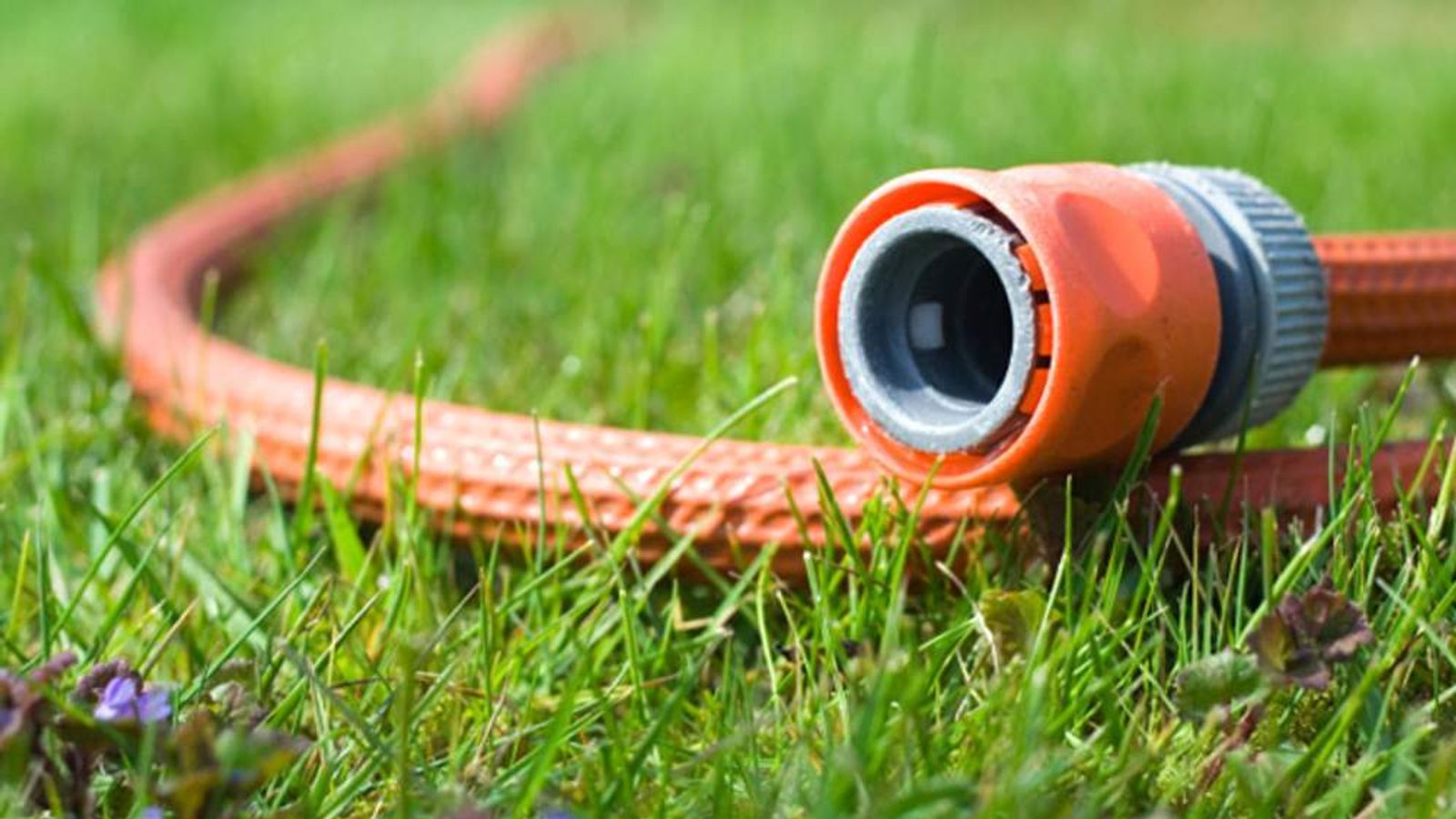 Hosepipe Ban Water Firms To End Restrictions Scoop News Sky News