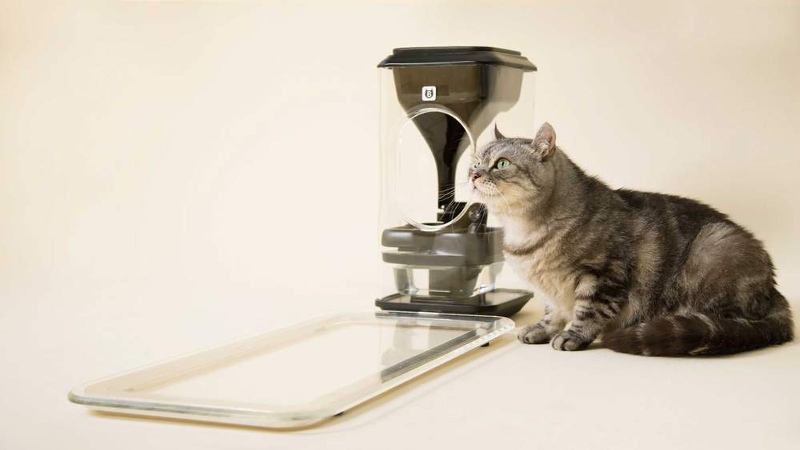 Target store cat feeder