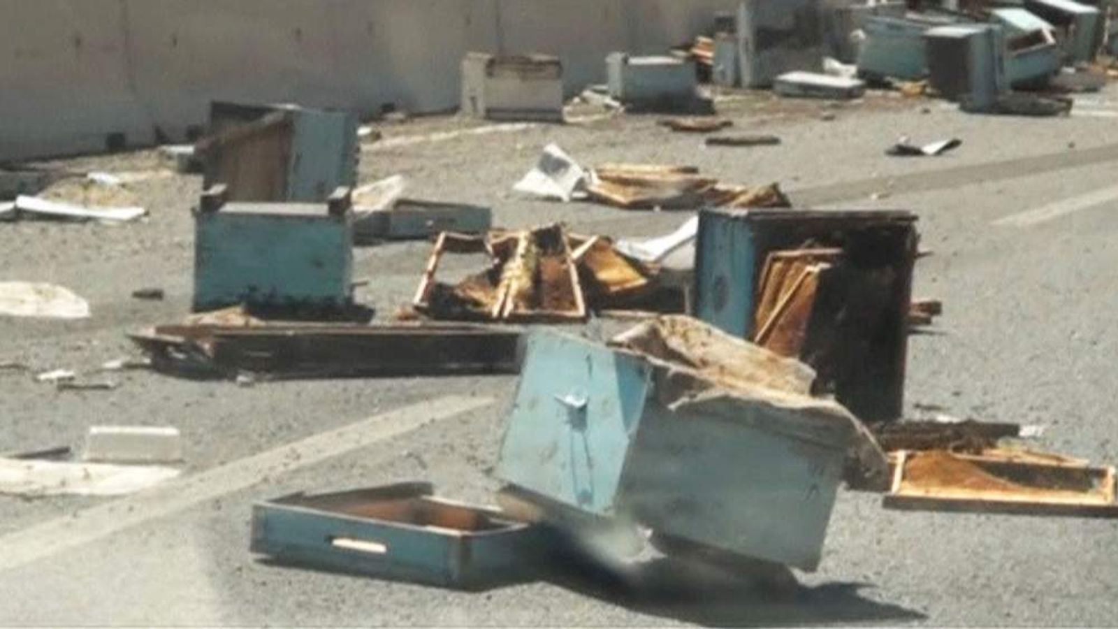 Drivers Stung By Swarm Of Bees After Crash Scoop News Sky News