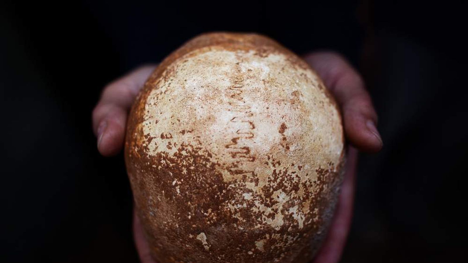 Ancient Skull Discovery Offers Evolution Clue | World News | Sky News