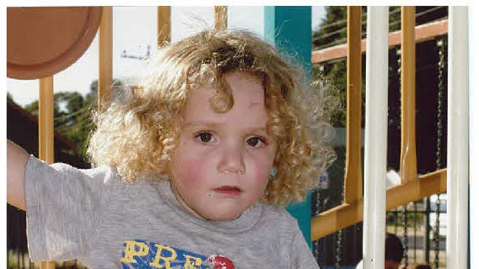 Dog Attack Toddler Killed By Family Pet World News Sky News