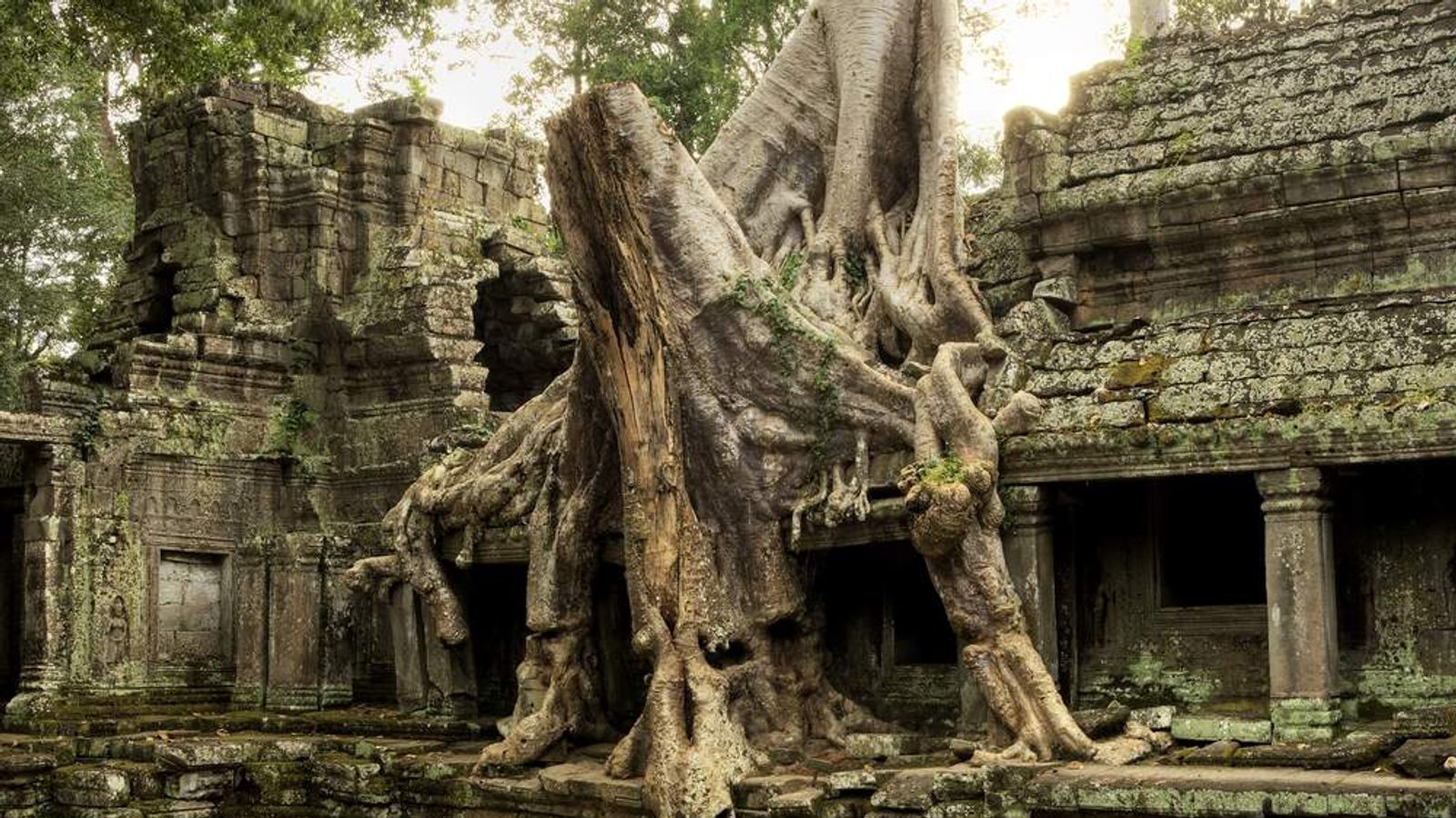 Камбоджа заброшенный город Ангкор