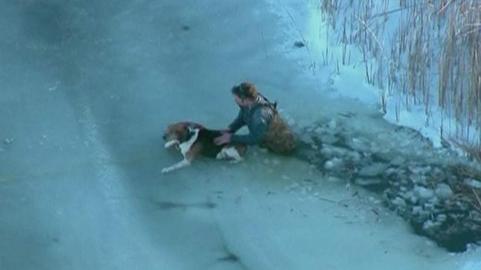 Daring Rescue Of Dog Trapped On Frozen Lake Scoop News Sky News