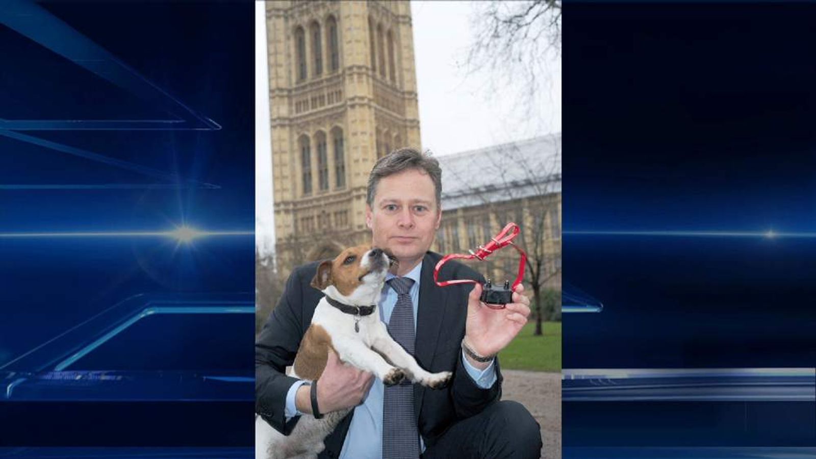 Electric Shock Collars 'Should Be Banned' UK News Sky News