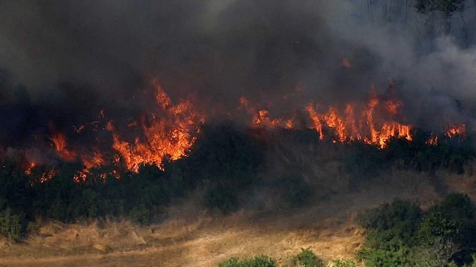 Heatwave Warning Danger Of Grass Fires UK News Sky News