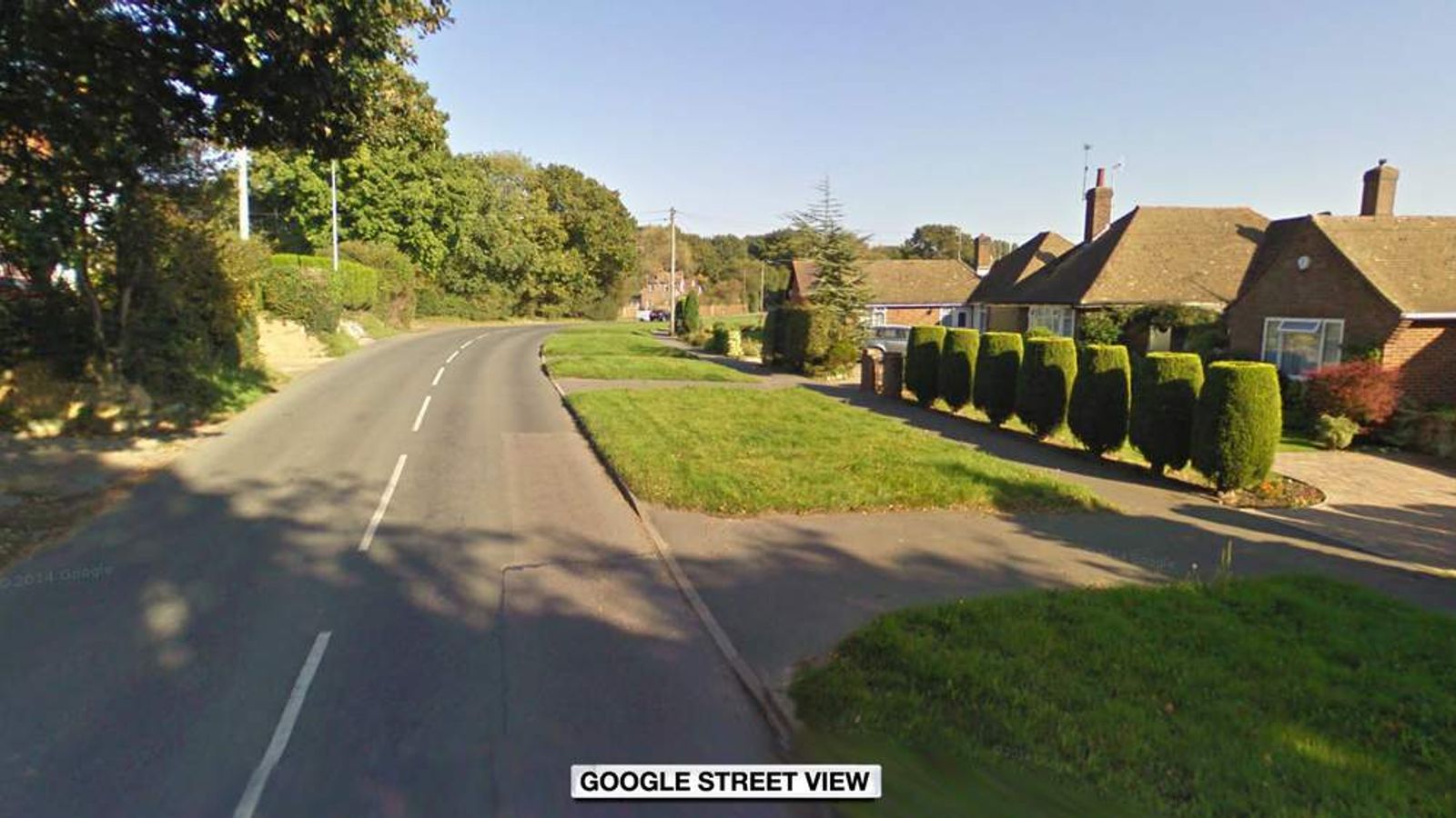 Dog Walker Dies After Row Man Arrested UK News Sky News