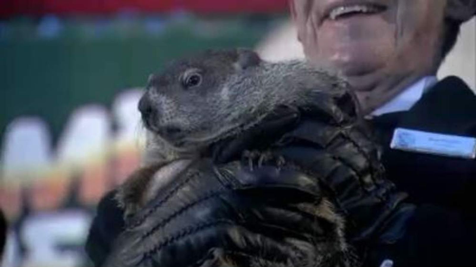 Did Punxsutawney Phil See His Shadow? US News Sky News