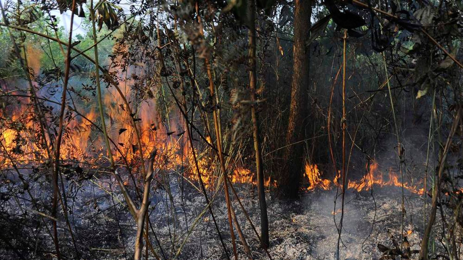 Indonesia To Make Rain To End Sumatra Fires World News Sky News   Indonesia Fires2 1 3653481 