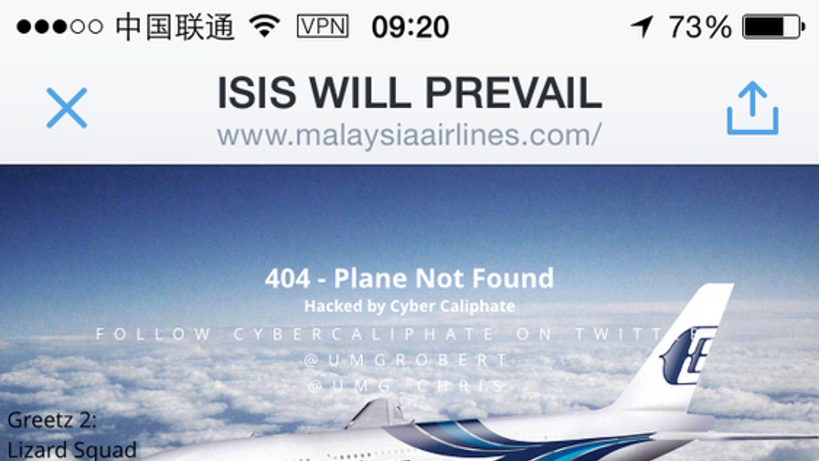 'Group Of Kids' Hack Malaysia Airlines | World News | Sky News