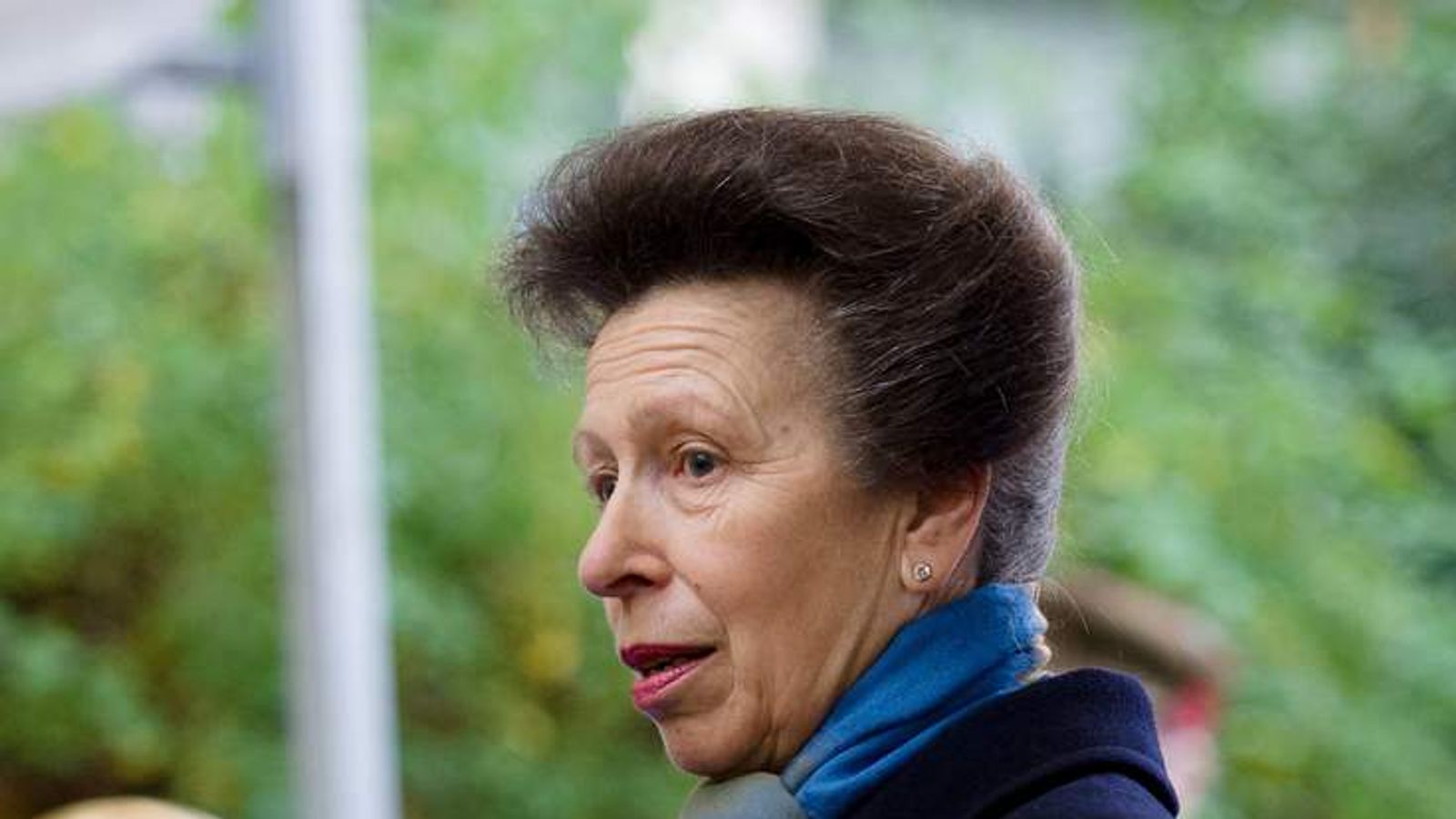Princess Anne: ‘Build New Homes In Villages’ | Politics News | Sky News
