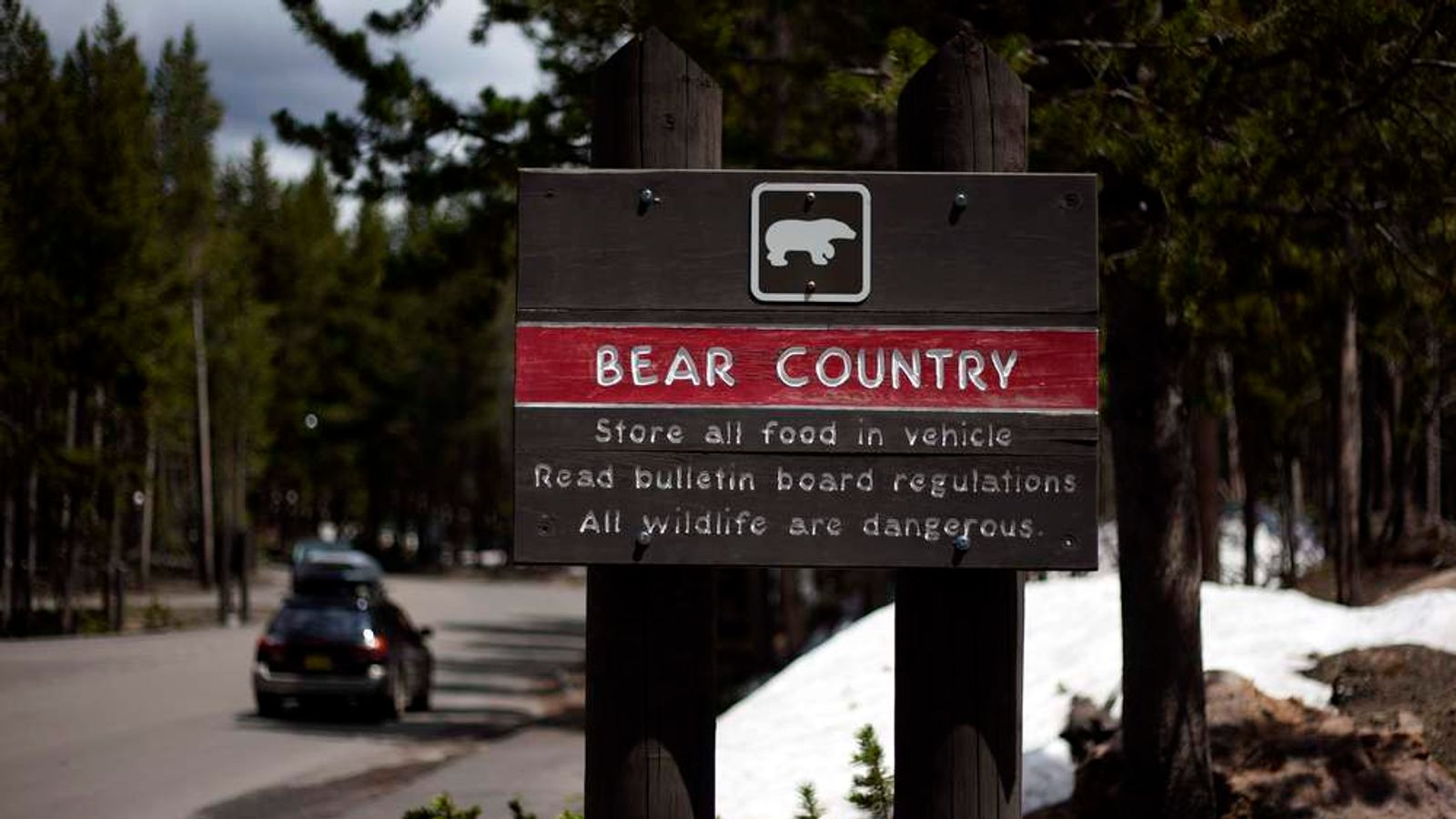Man Dies After Yellowstone Grizzly Bear Attack | US News | Sky News