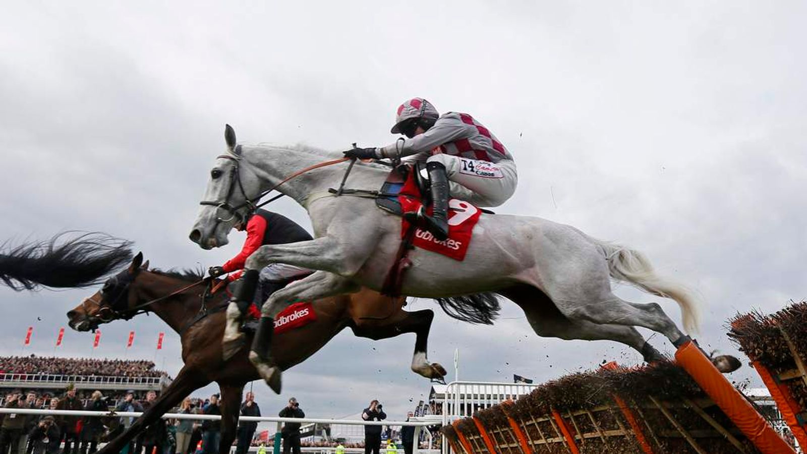 Doping Racing Horse Racing Doping Scandal Grows | Scoop News | Sky News
