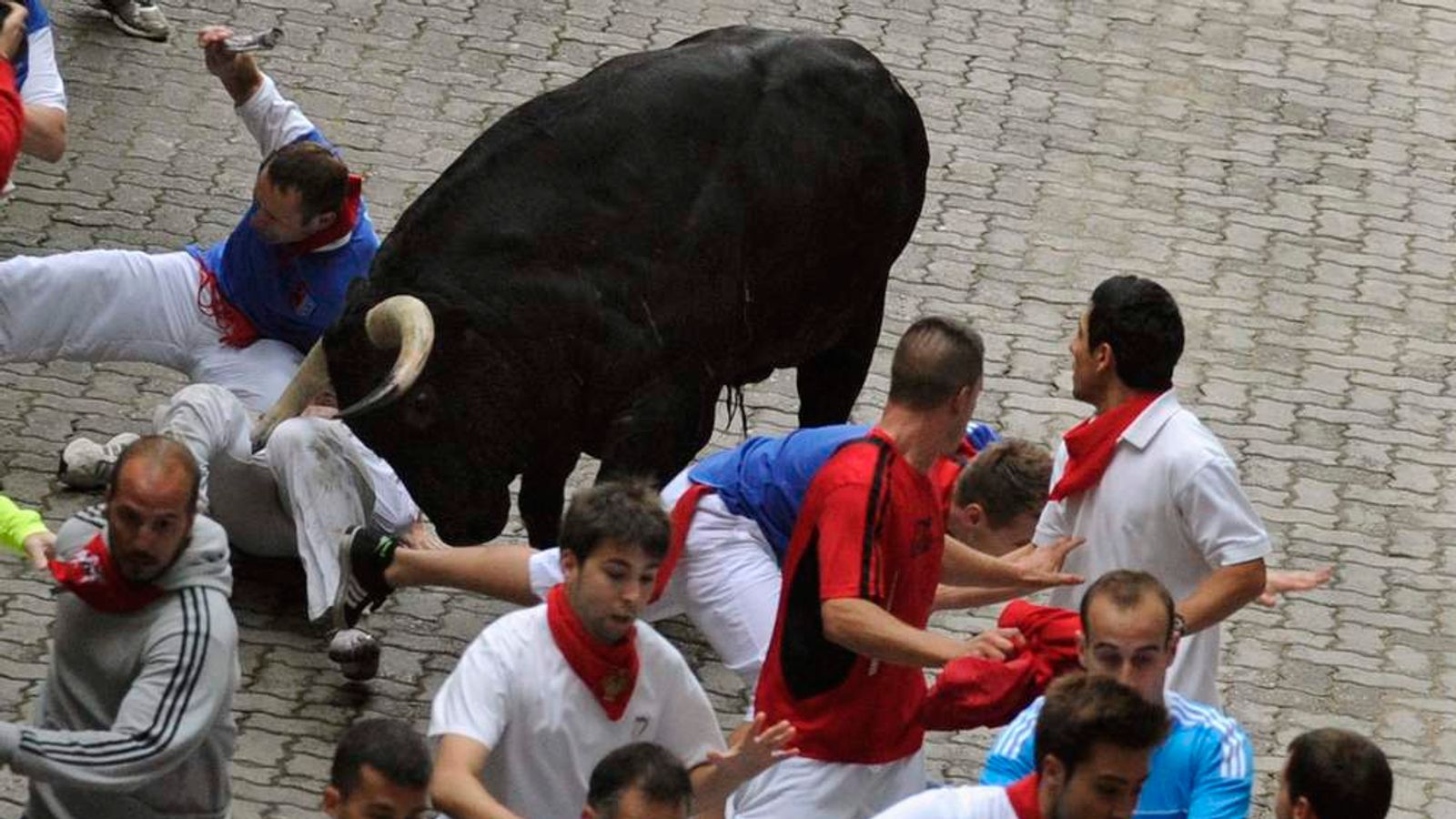 Bull Run Survival Guide Author Gored In Spain | World News | Sky News