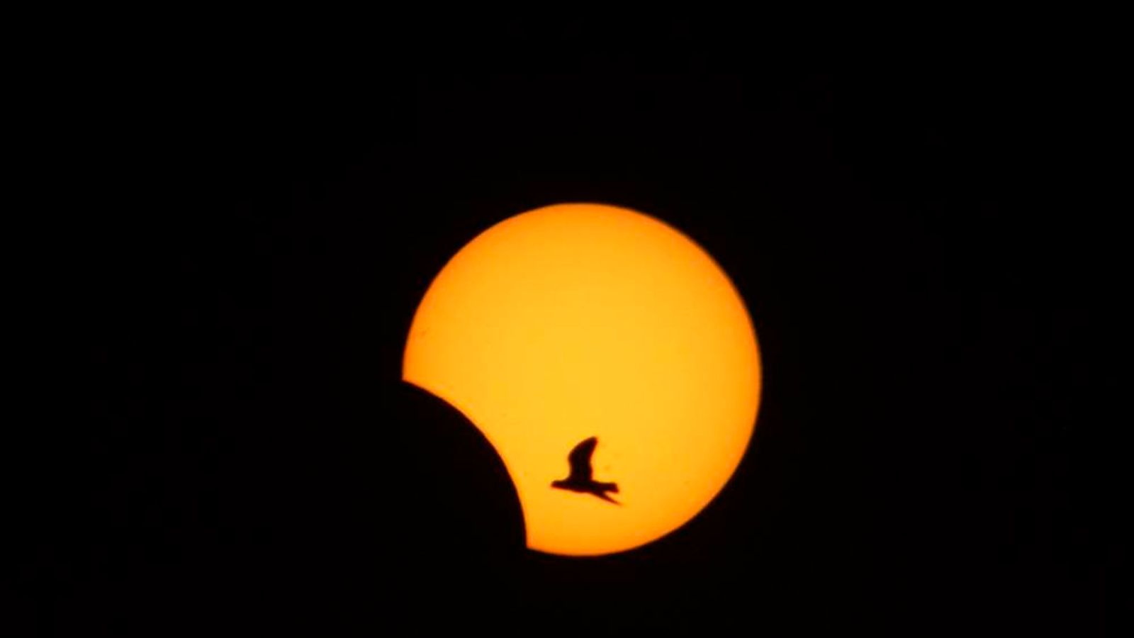 Solar Eclipse: 'Hybrid' Event Best Seen In Africa | World News | Sky News