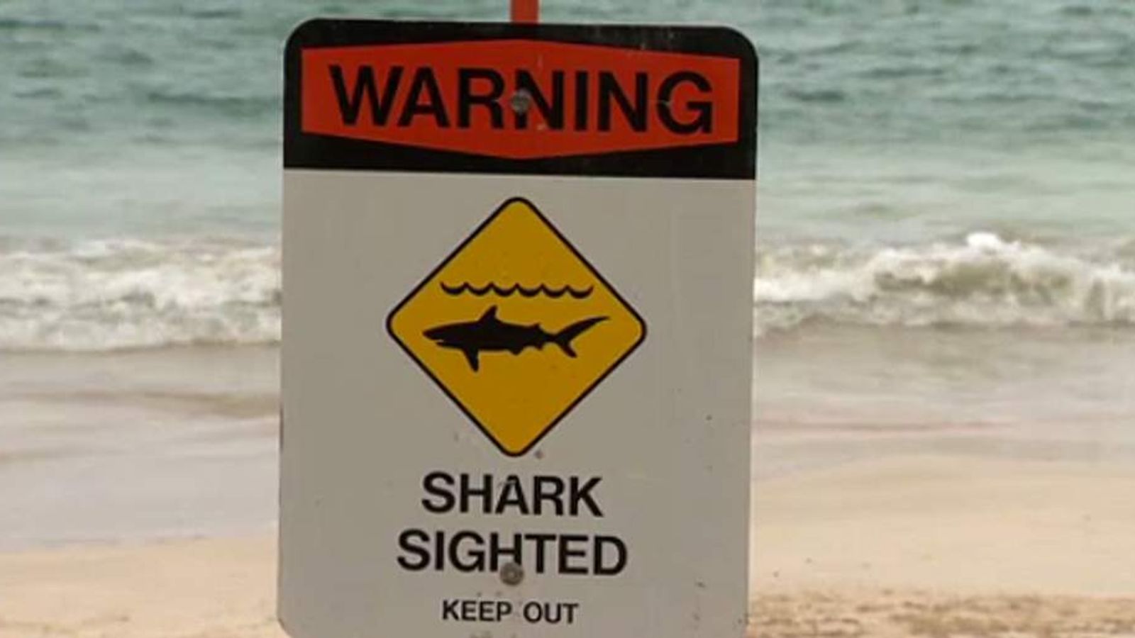 Two Injured In Separate Hawaii Shark Attacks | US News | Sky News