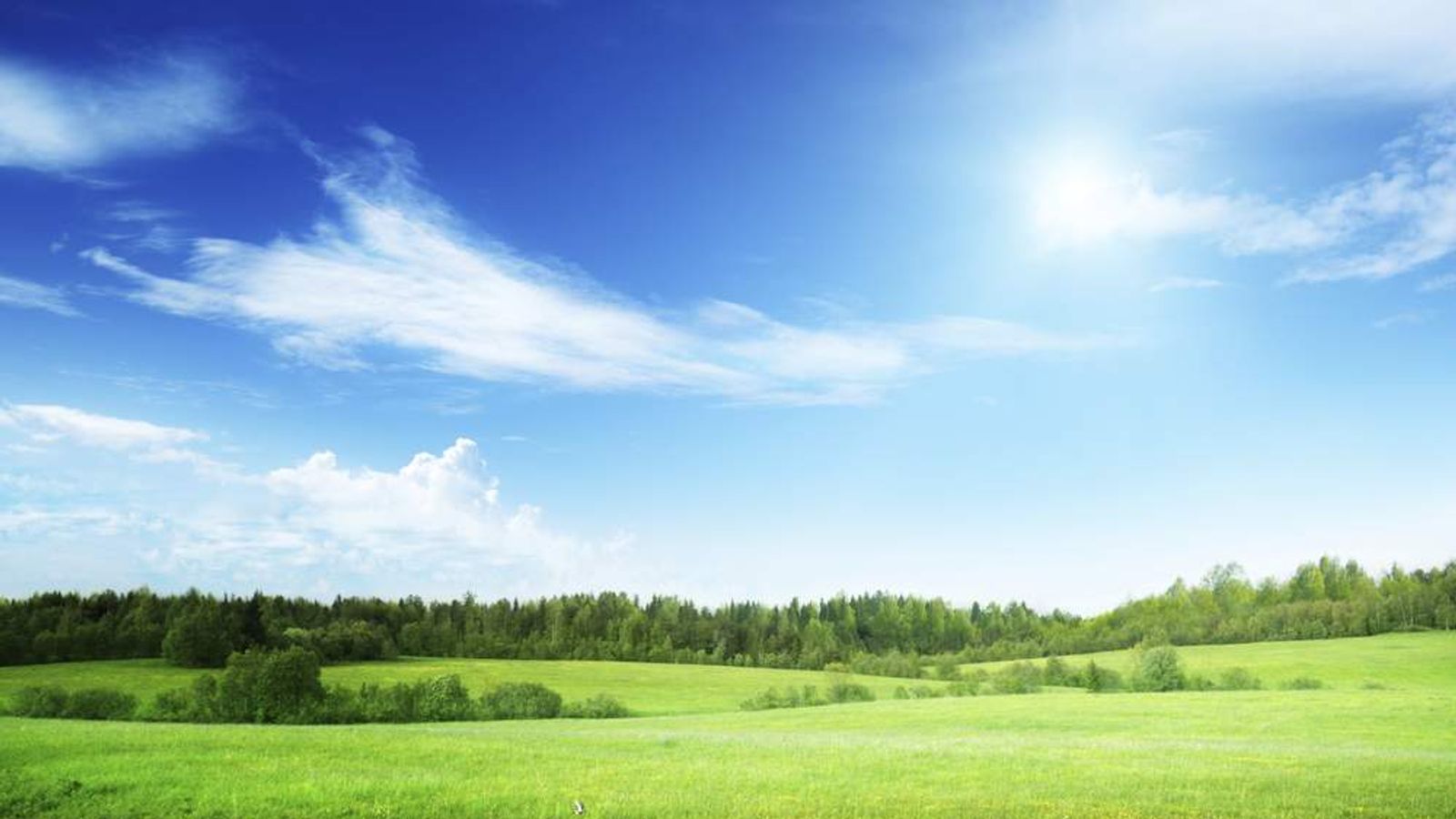 Discounted Homes To Be Built On Greenfield Land UK News Sky News