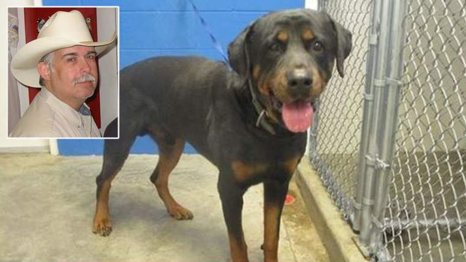 Animal Lover Killed By His New Rottweiler | US News | Sky News