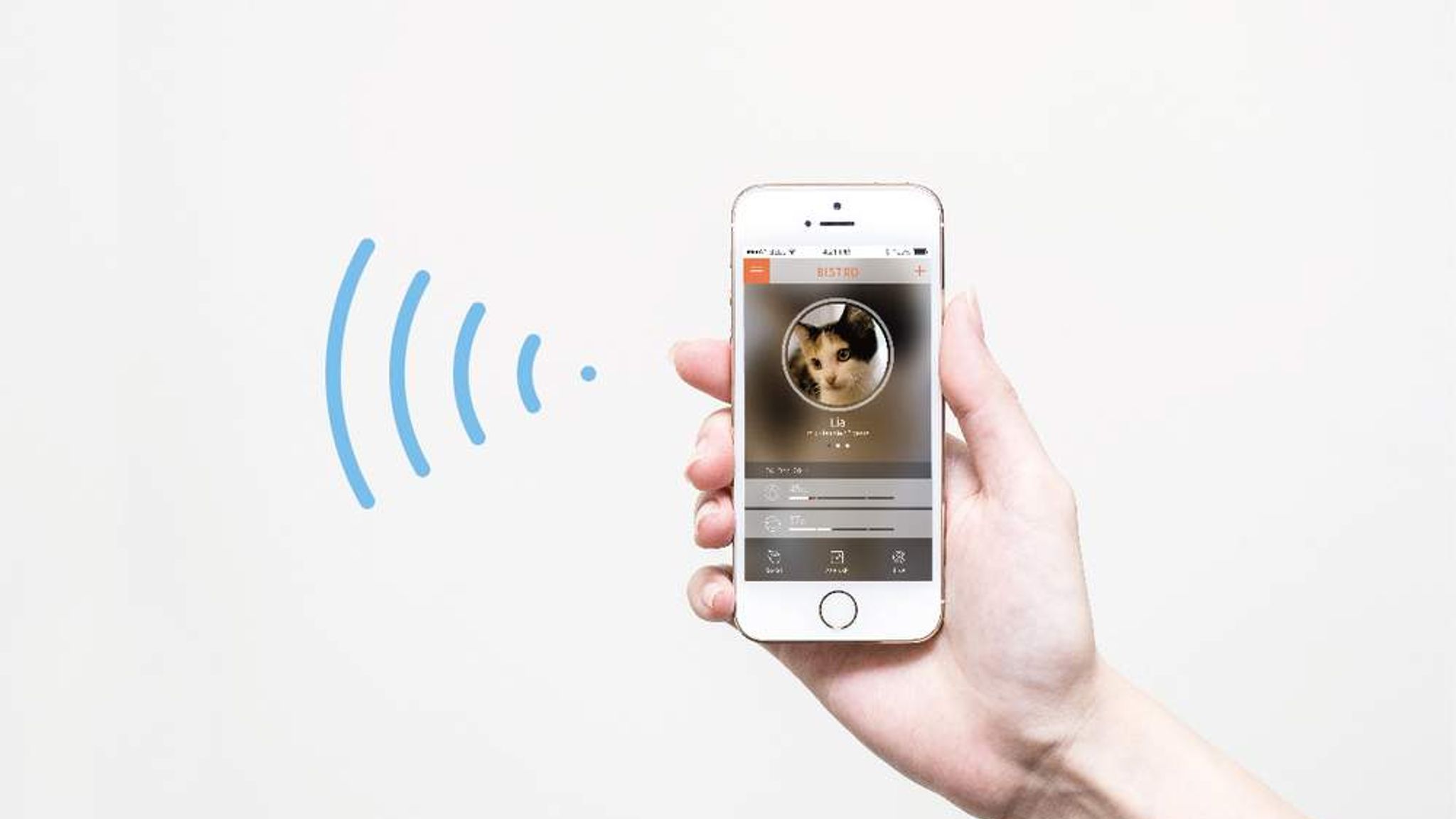 FacialRecognition Cat Feeding Machine Launched Science & Tech News