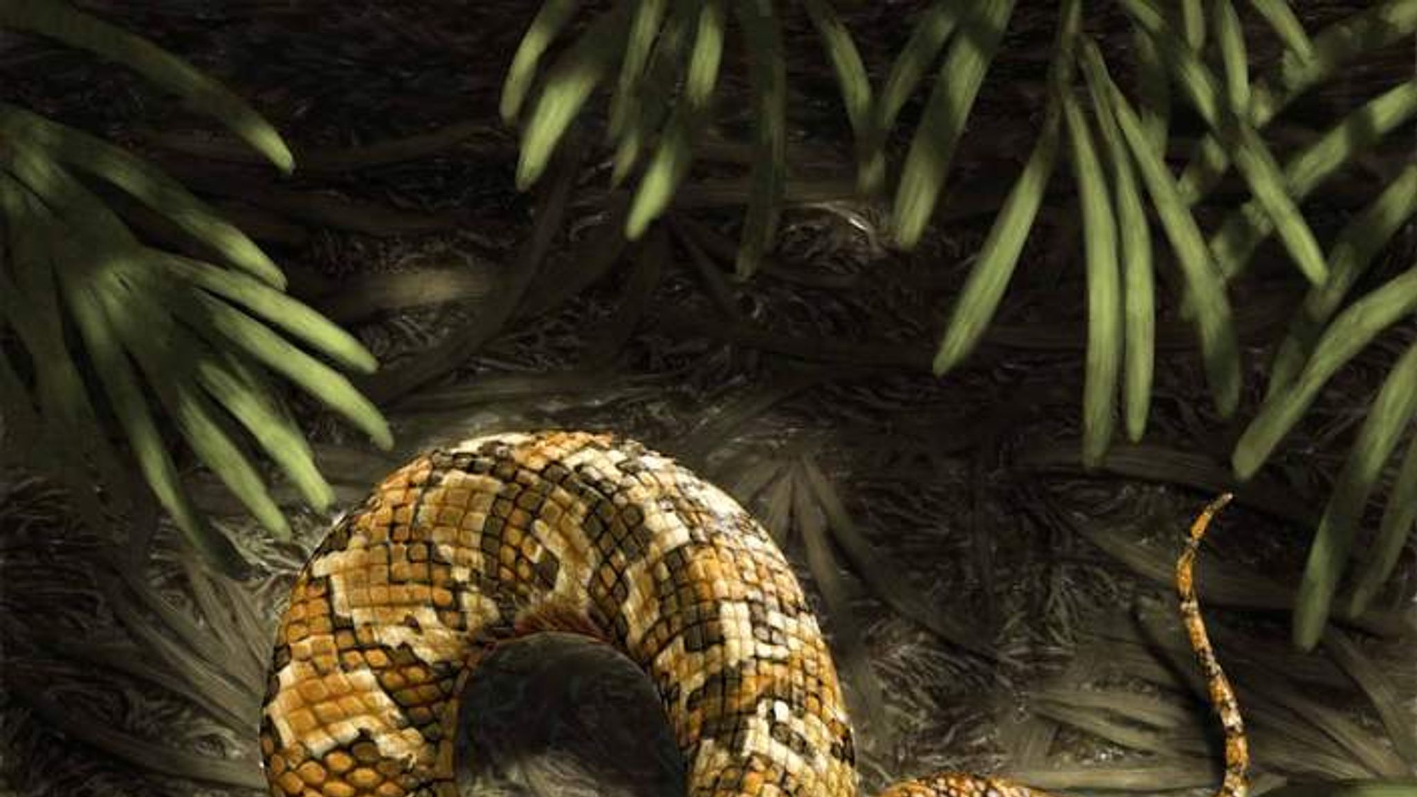 Four-Legged Snake Fossil Found In Museum | UK News | Sky News