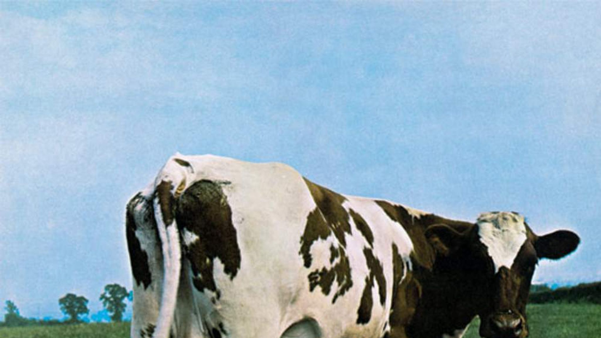 did storm thorgerson make atom heart mother album cover?