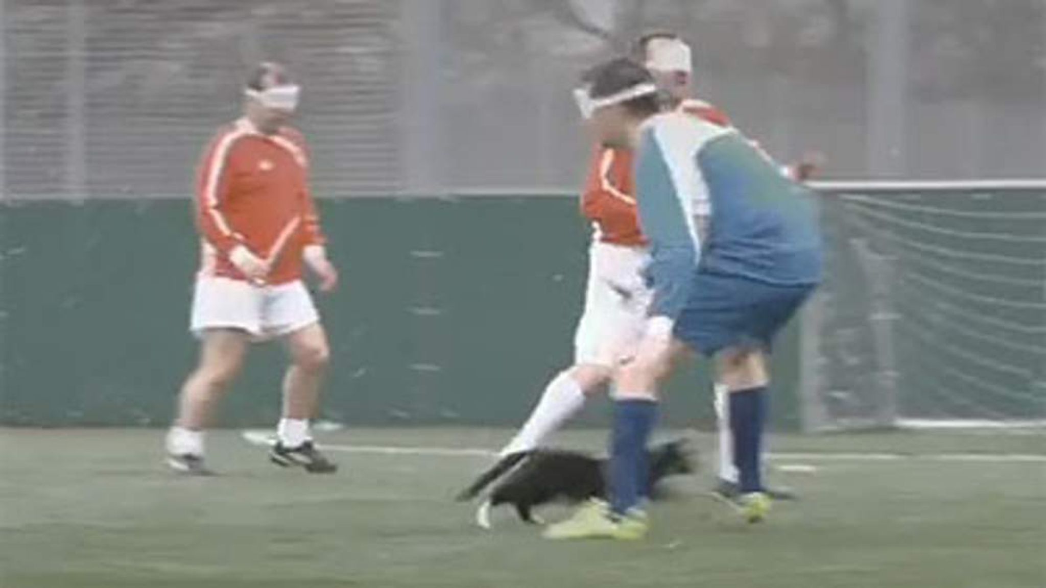 Watchdog's Blind Faith In Kick The Cat Ad Business News Sky News