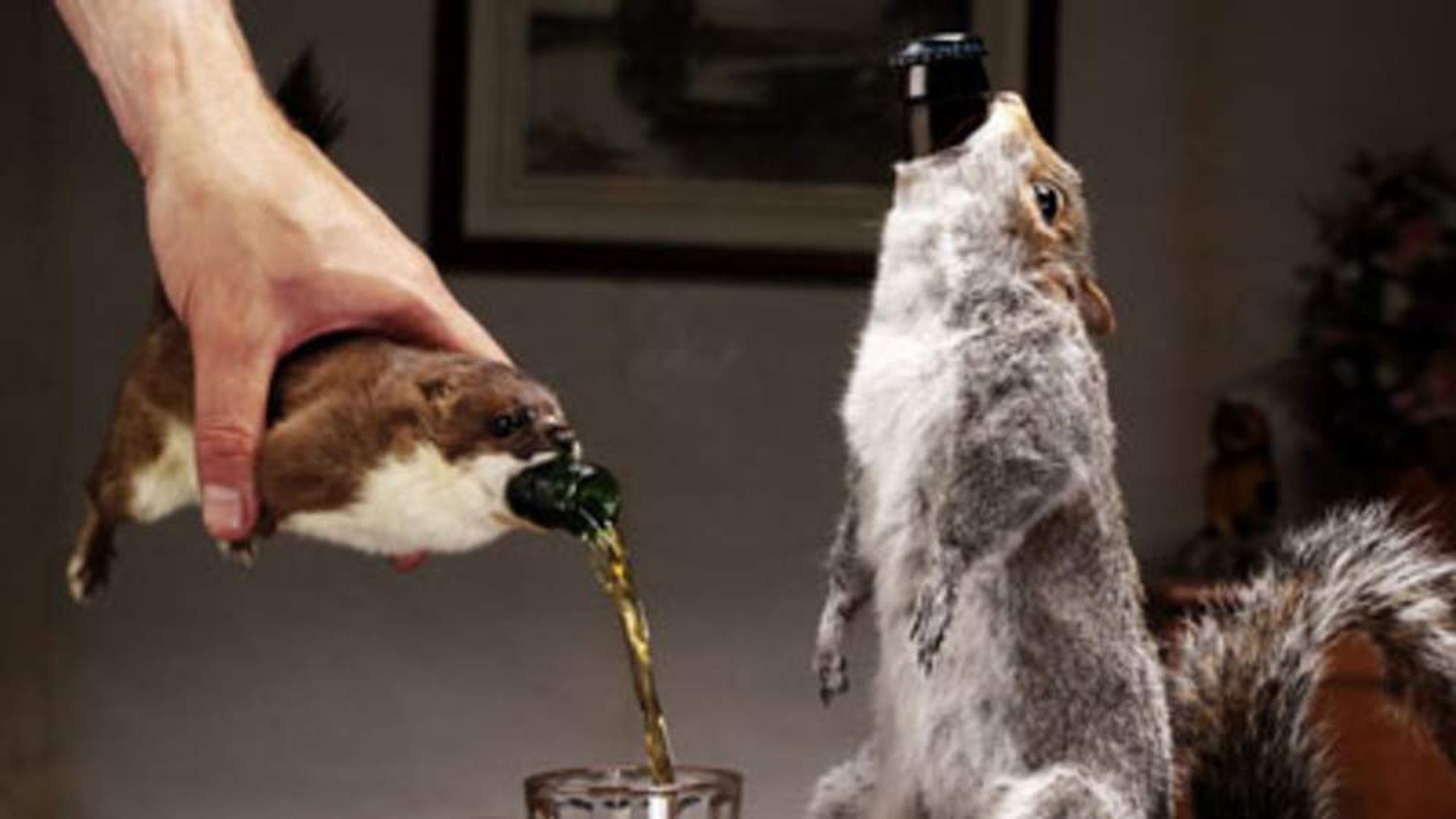 Dead Drunk: Beer Served In Stuffed Stoats | Business News | Sky News