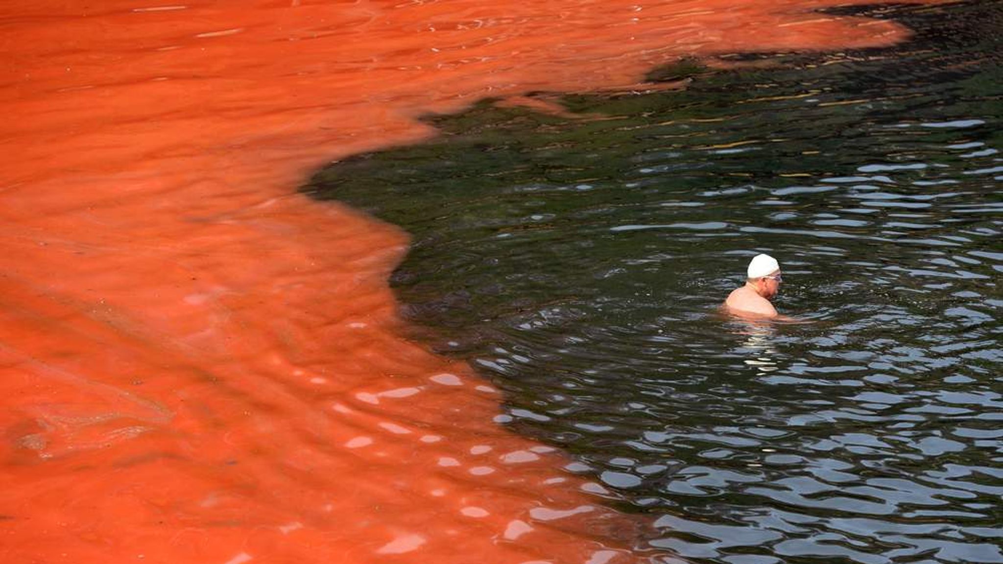 Вода стала розовой. Красная вода в море. Красное цветение воды. Красный водоем. Водоросли красного моря.