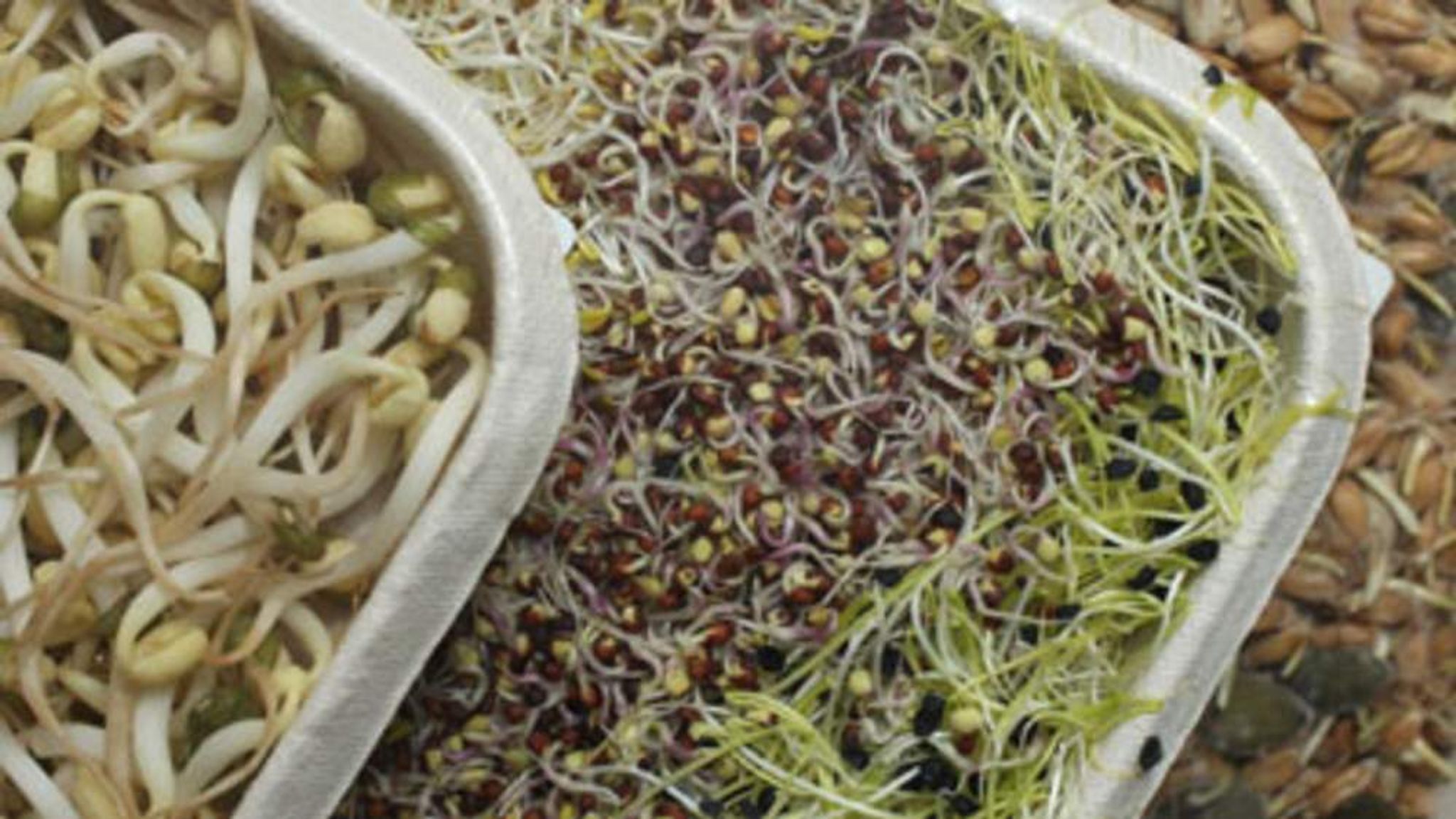 E.Coli Outbreak Blame Back On Bean Sprouts World News Sky News
