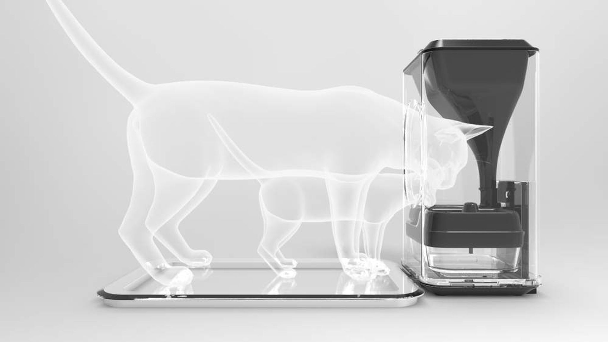 FacialRecognition Cat Feeding Machine Launched Science & Tech News