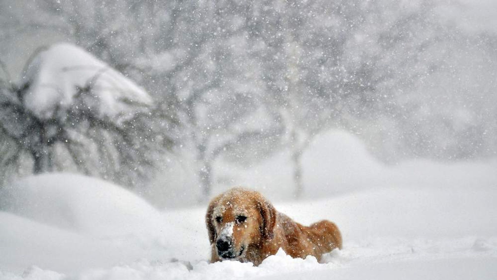 Record US Snowfall Blamed For 10 Deaths | US News | Sky News
