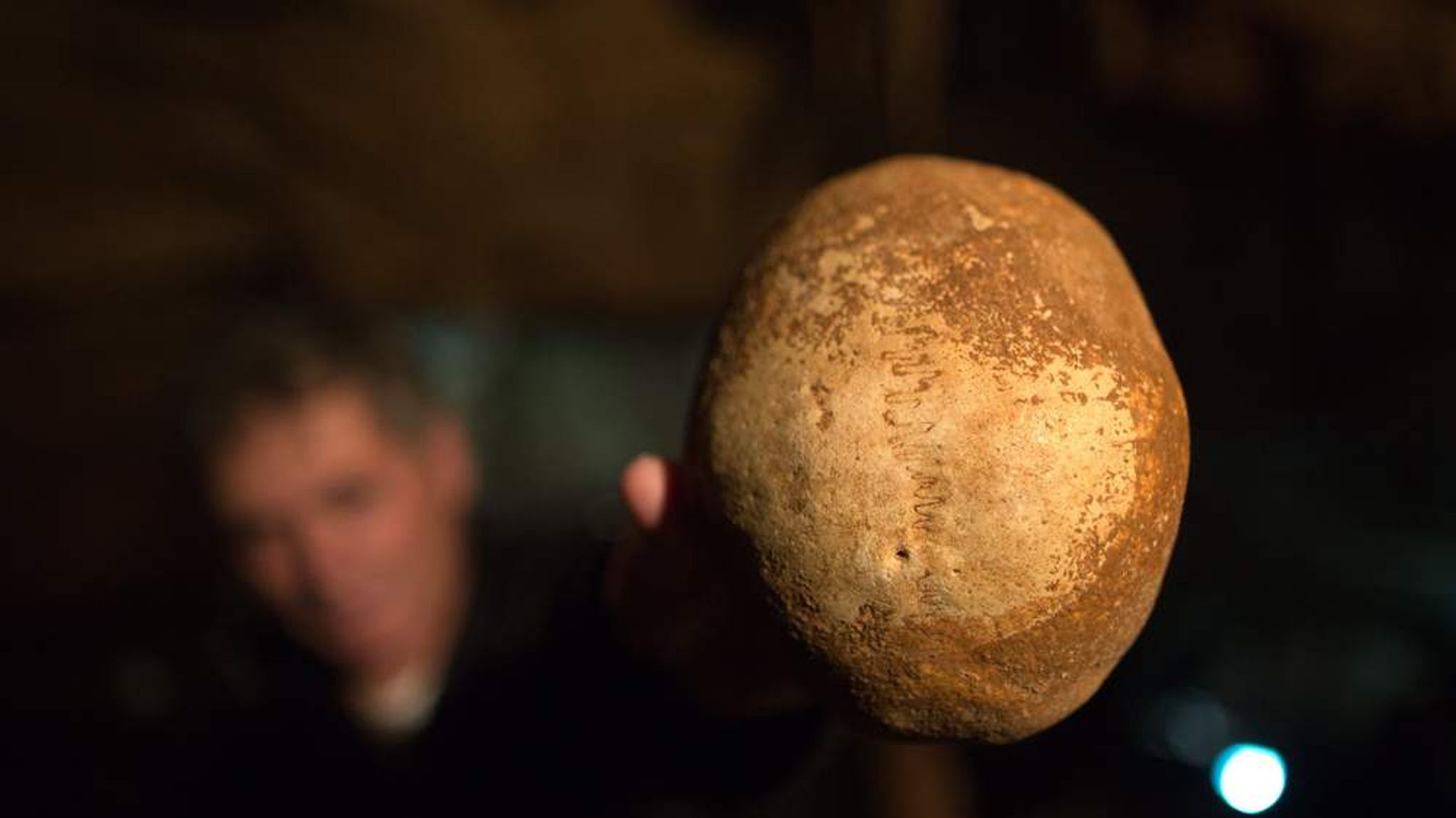 Ancient Skull Discovery Offers Evolution Clue | World News | Sky News
