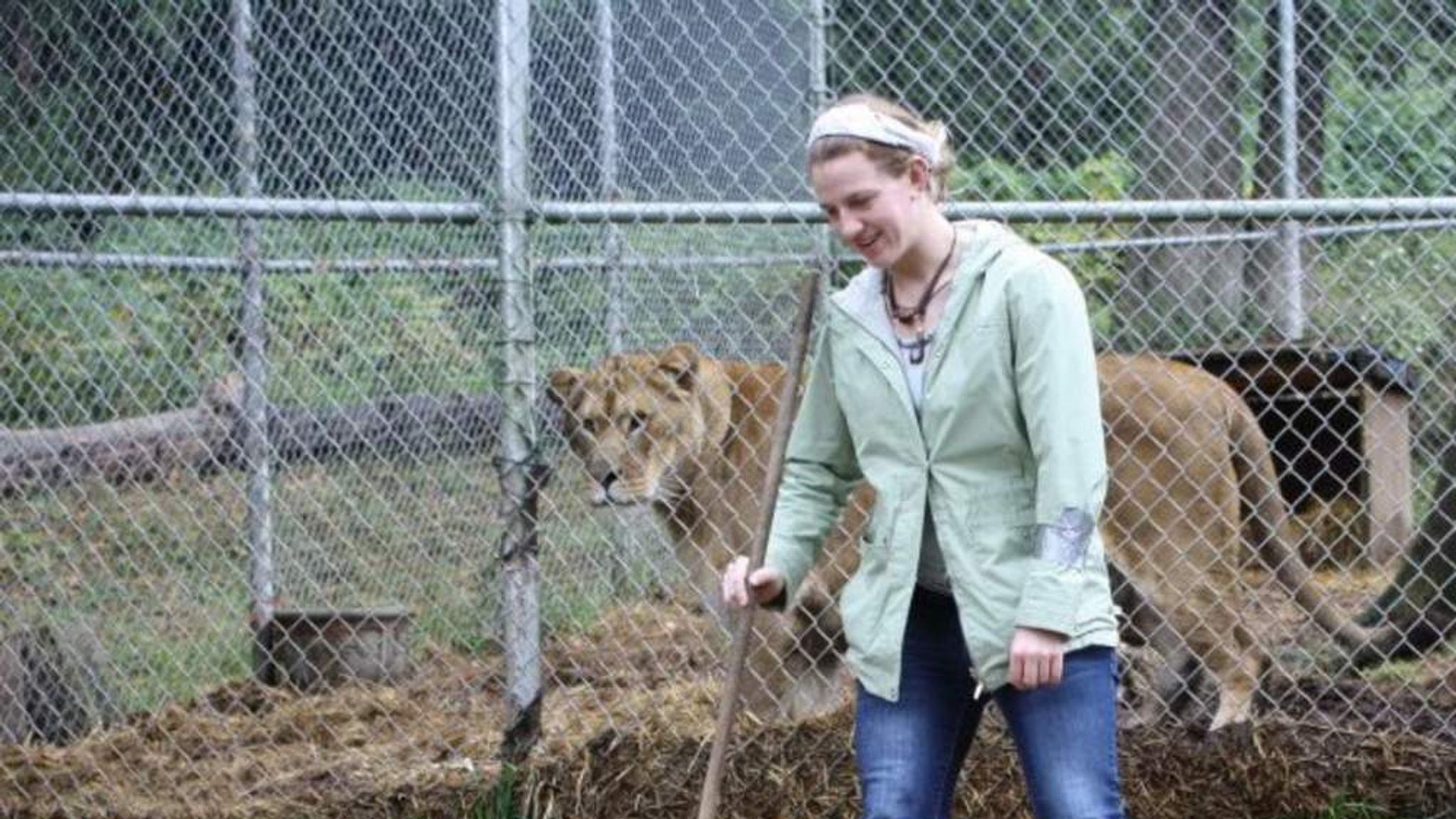 Lion 'Escaped Cage' Before Killing Woman US News Sky News