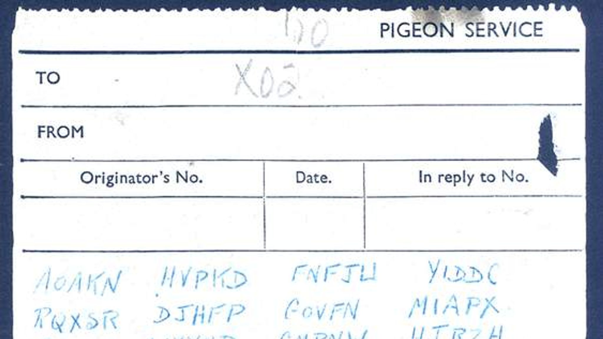 Pigeon Code Letters Pigeon's Message Has Code-Breakers Stumped | UK News | Sky News