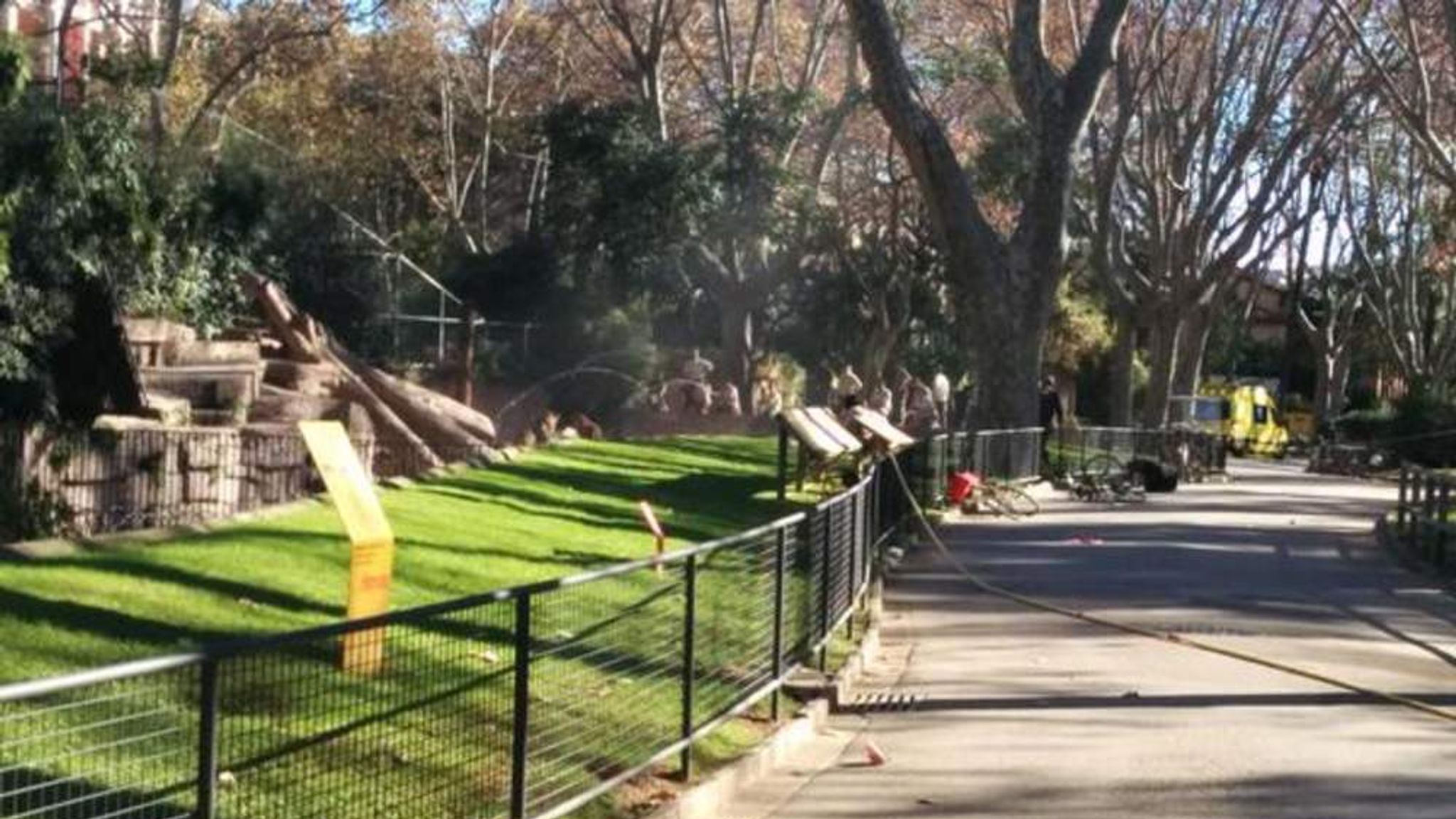 Man Seriously Hurt After Lion Attack At Zoo | World News | Sky News