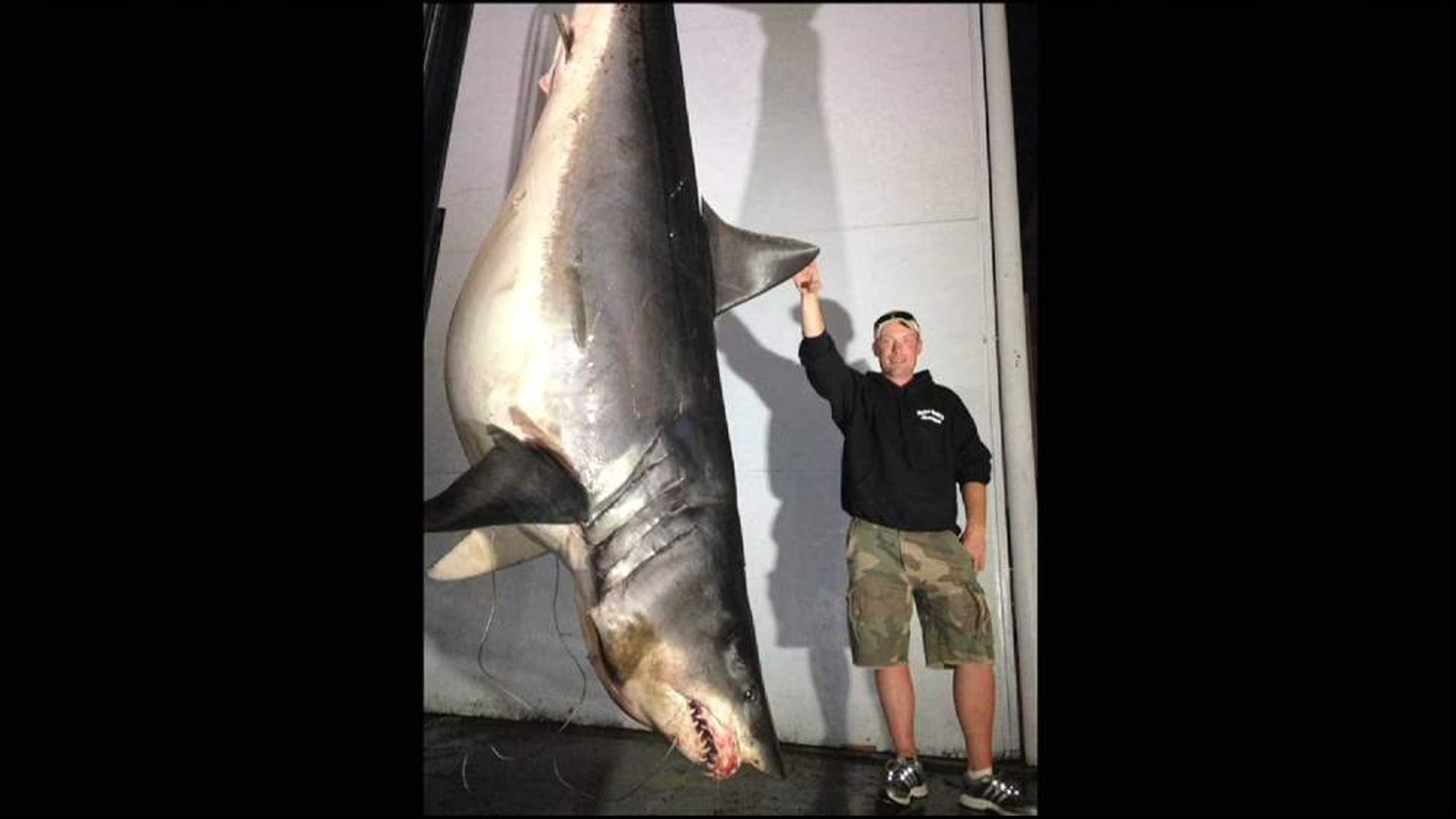 'Record' Shark Caught Off Californian Coast US News Sky News