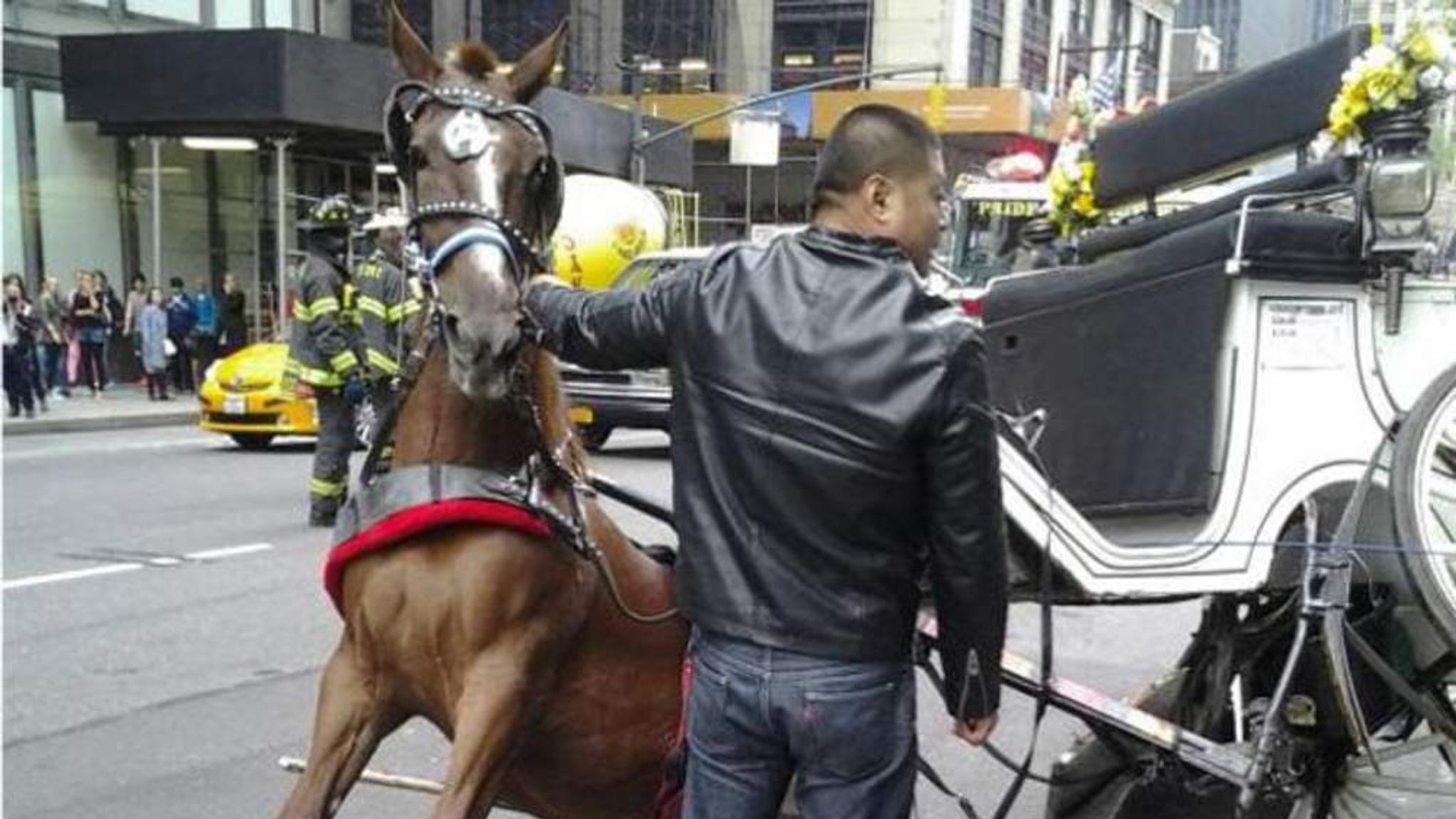 Horse-Drawn Carriages Divide NYC
