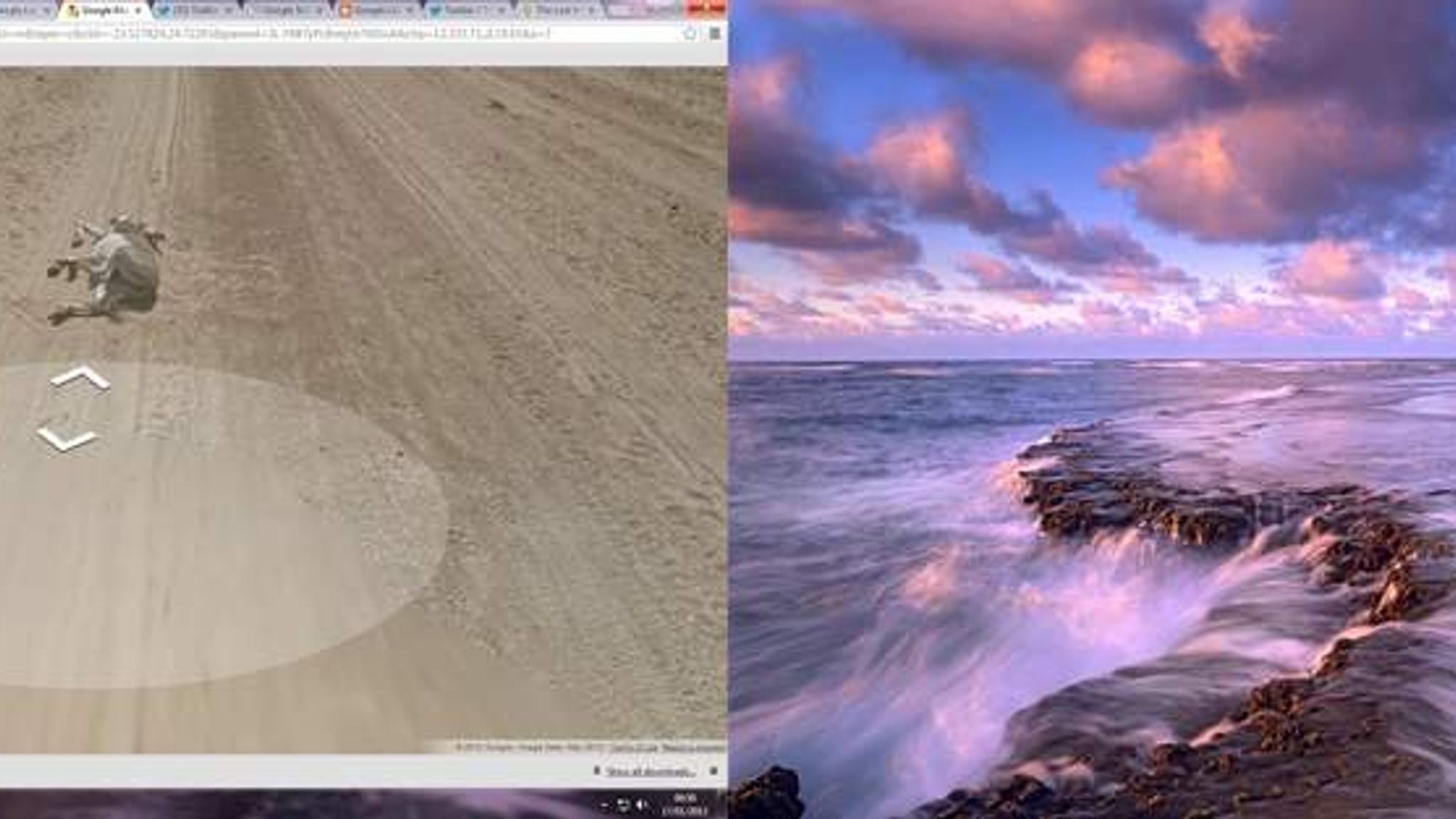 Google Denies Killing Donkey With Maps Car Scoop News Sky News