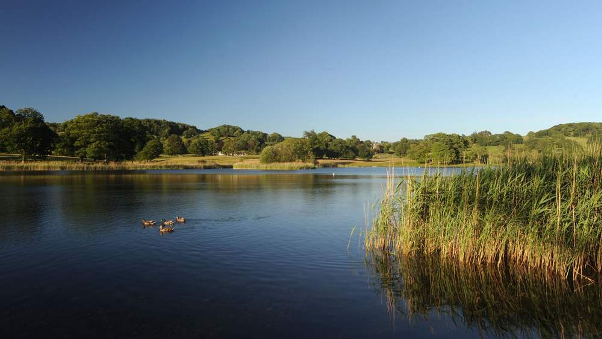 Esthwaite Water Beatrix Potter Lake For Sale UK News Sky News