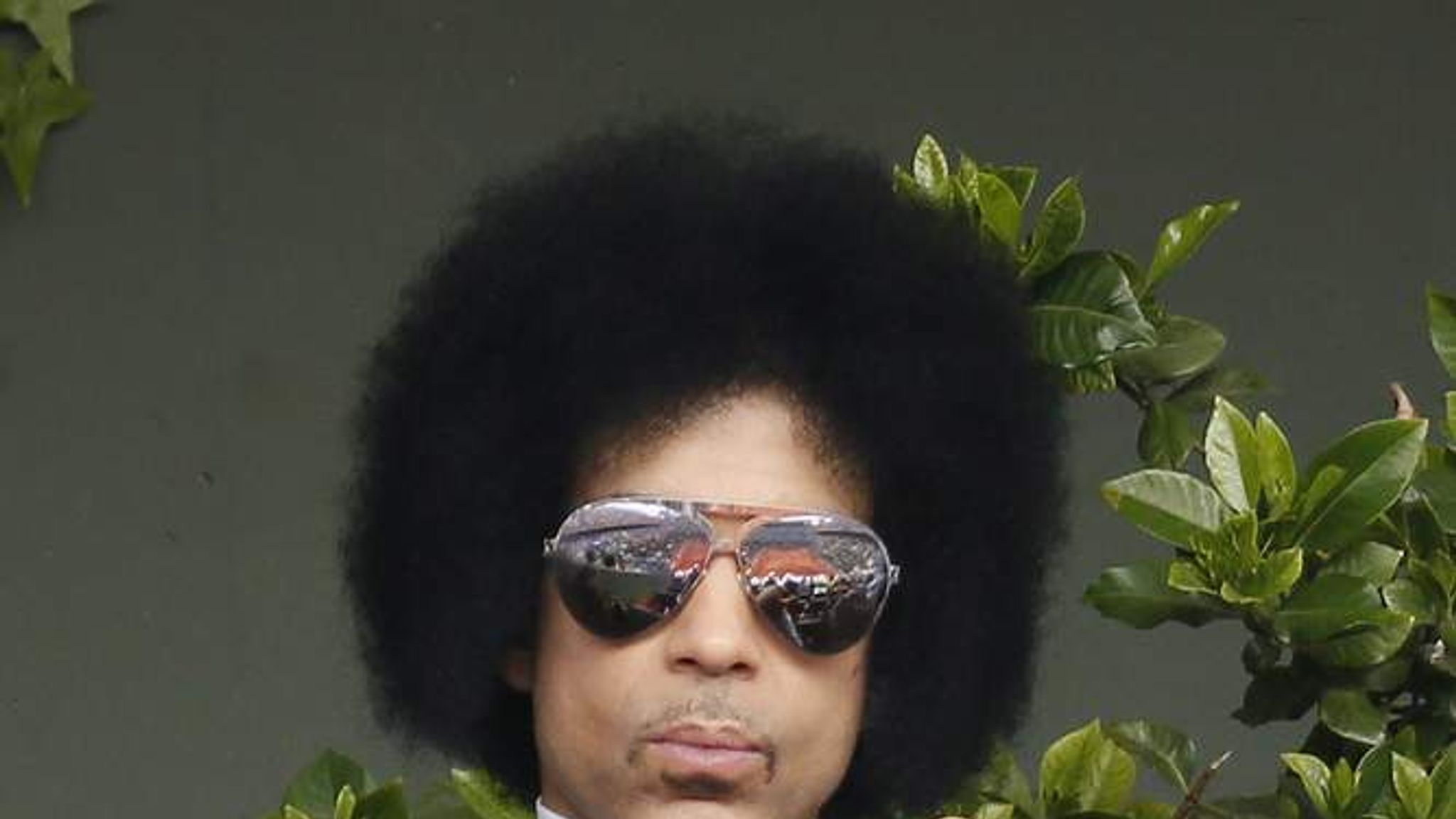 prince real - Ilustrasi 2